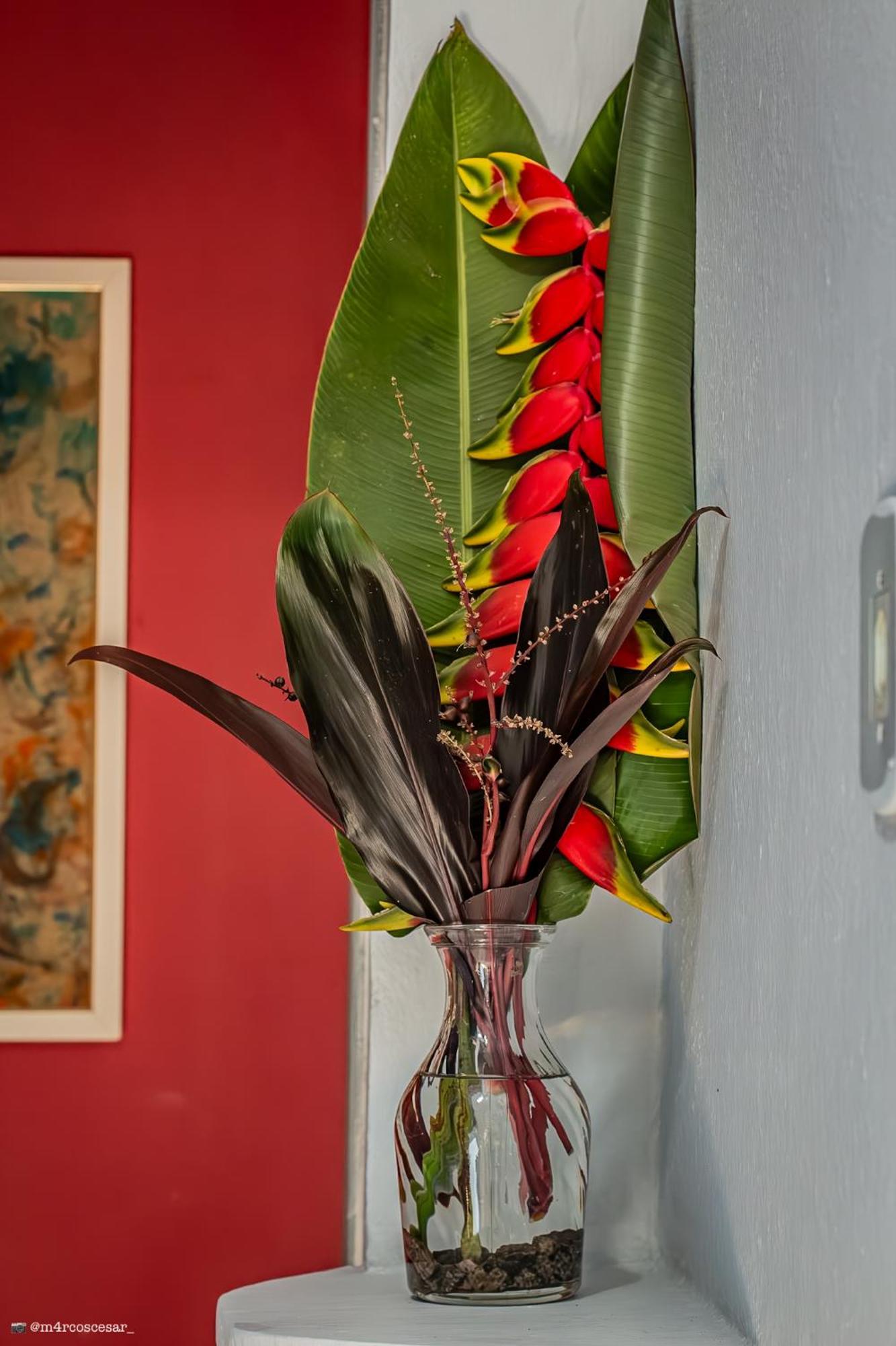 Pousada No Sana Donna Leda Buitenkant foto